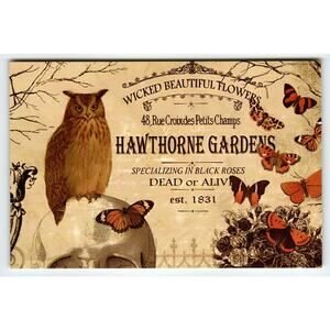 Vintage Halloween Owl & Skull Postcard Hawthorne Gardens Litho 6x4